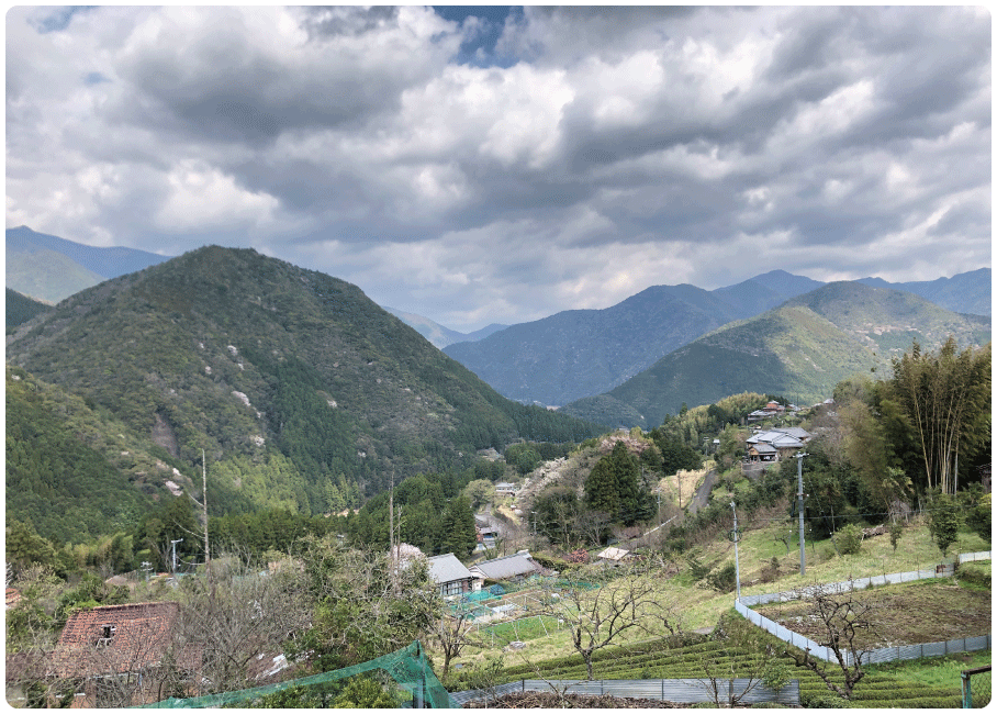 From Hossinmon oji to hongu Taisha3